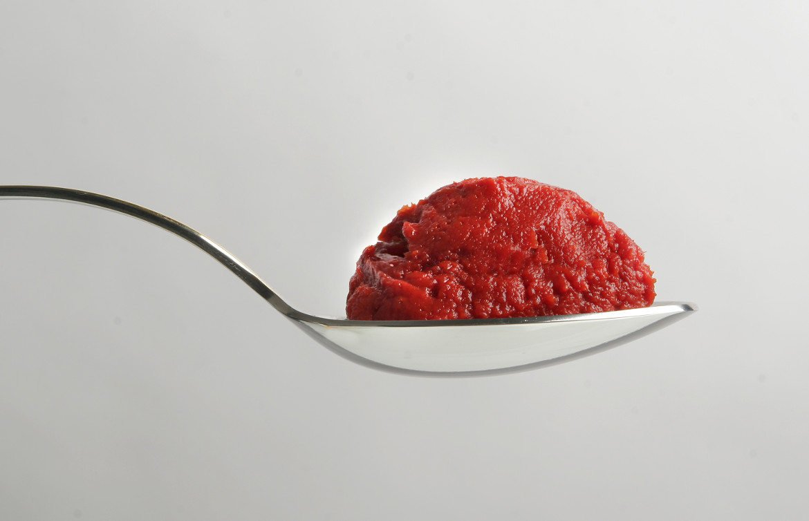 Tomato Paste